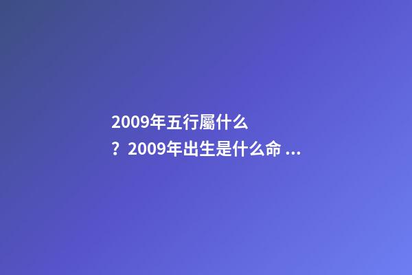 2009年五行屬什么？2009年出生是什么命？